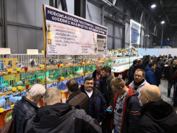 Targi ExpoGołębie 2019